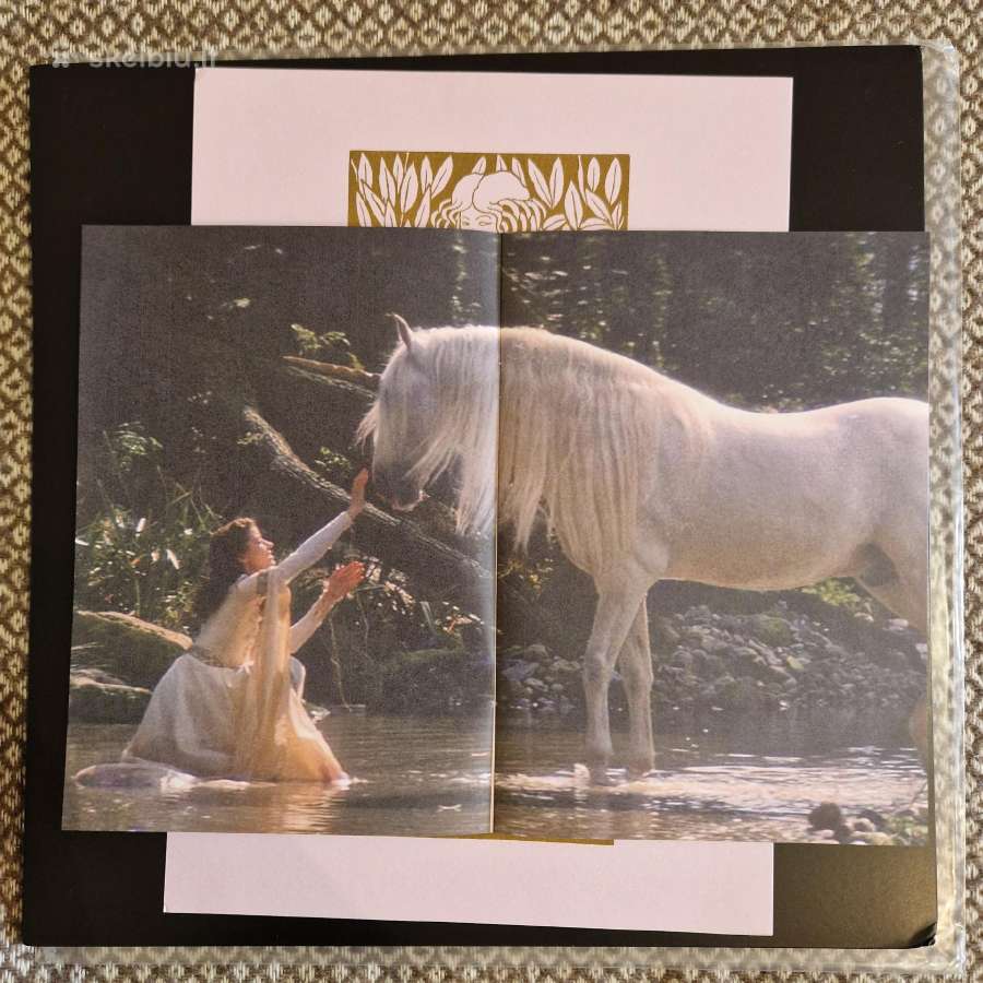 Romance – Over The Hills & Far Away / Vinyl Lp on - nuotraukos Nr. 6