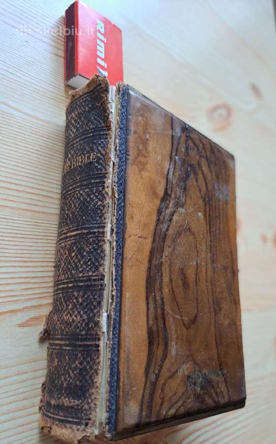 Antikvarinė XIX a. pabaigos Biblija.