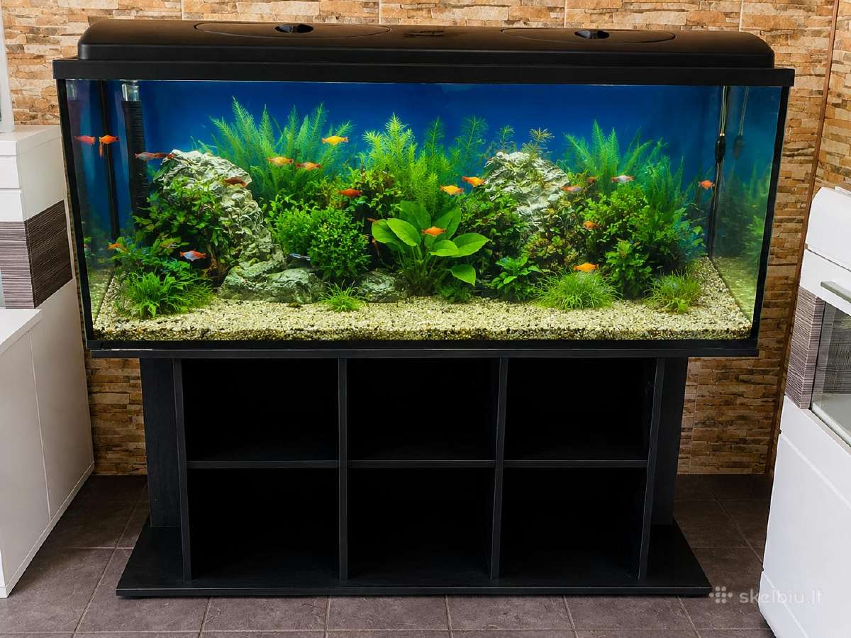 Parduodamas akvariumas su įranga
