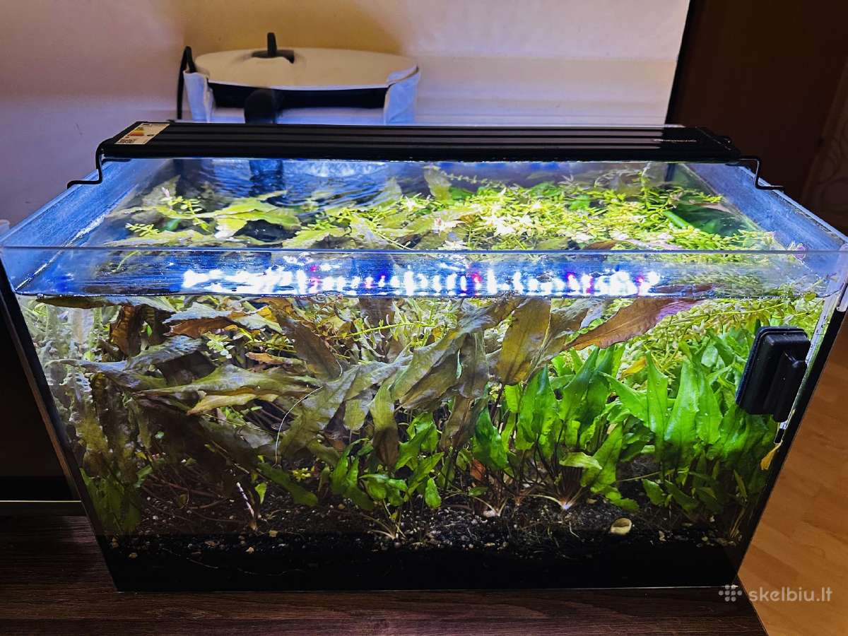 Parduodamas akvariumas