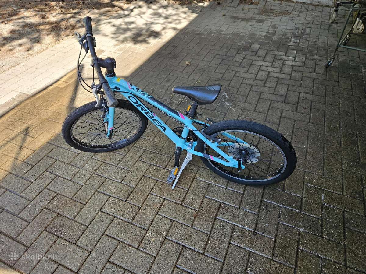 Orbea
