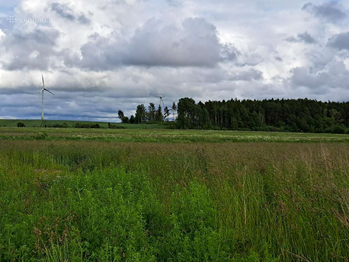 Sklypas šalia Palangos 8 min. - nuotraukos Nr. 5