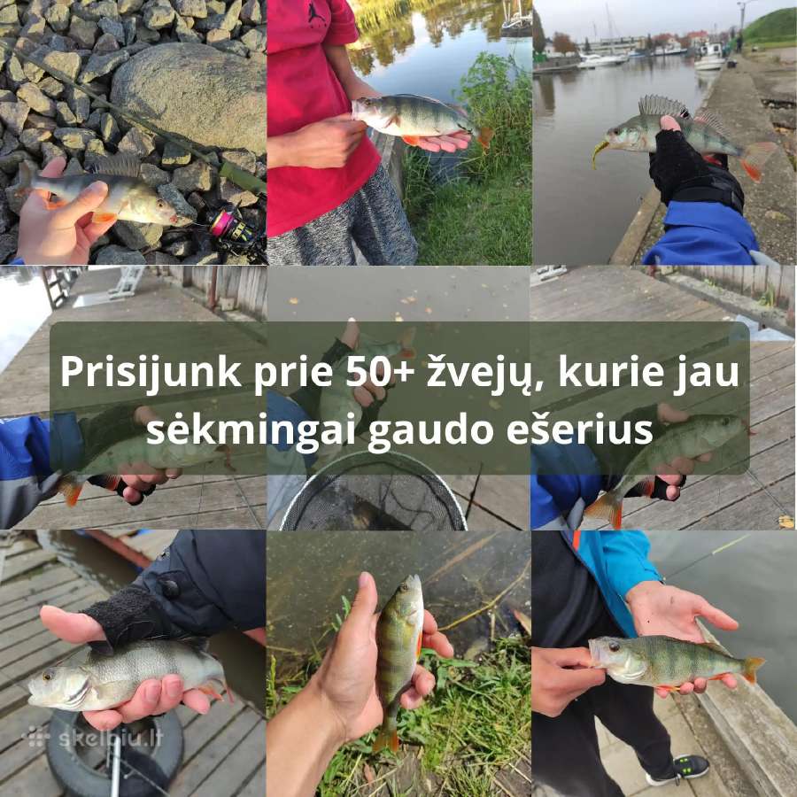 Spiningo komplektas ešeriams (Naujas) - nuotraukos Nr. 3