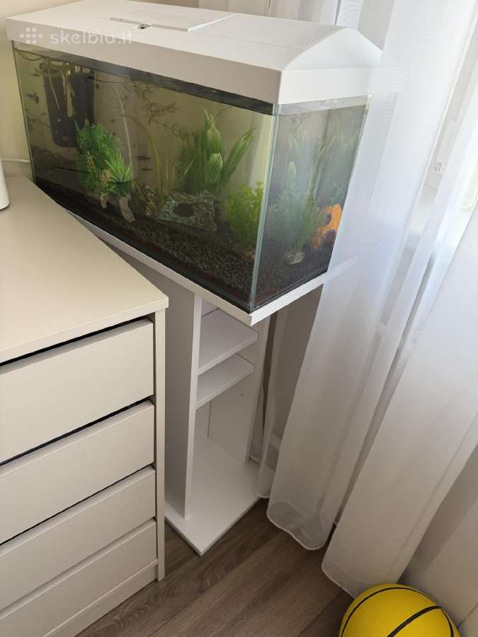 Aquel 54l su spintele + priedais