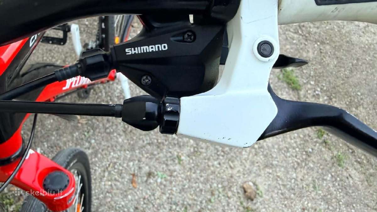 Dviratis Specialized Crosstail - nuotraukos Nr. 6