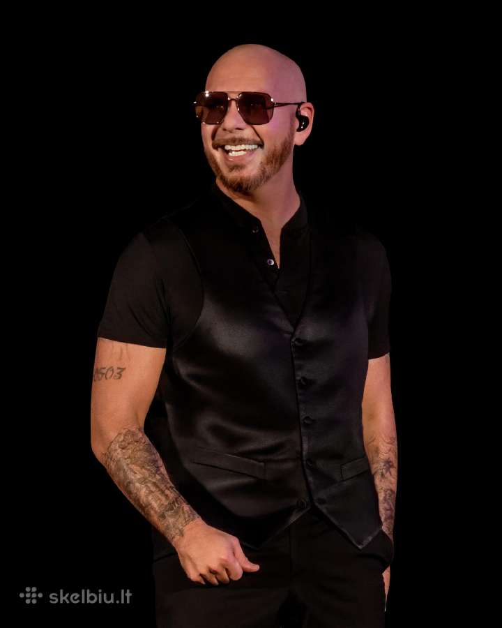 Turiu bilietų į Pitbull 07.31, Fanų zona