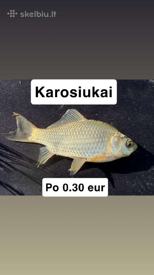 Karosiukai