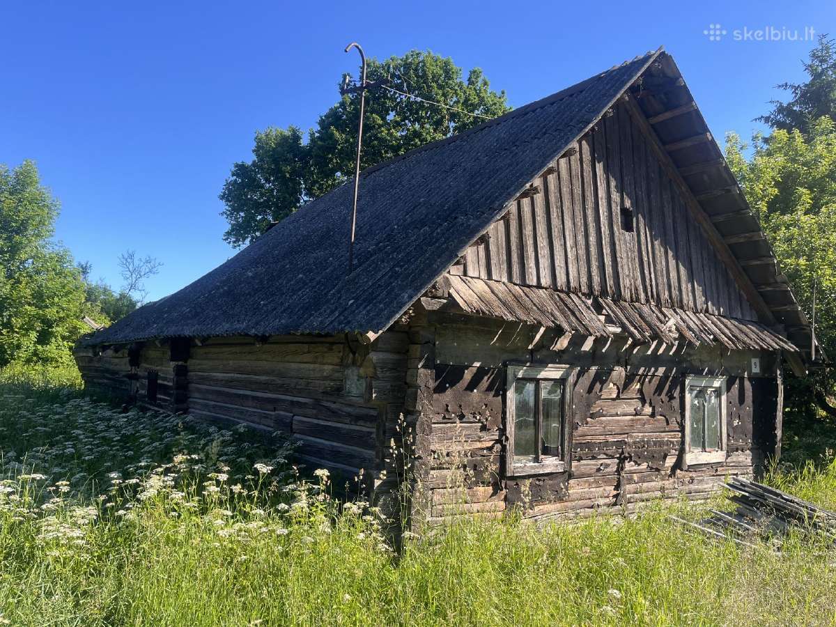 Dovanoju nama nusikelimui