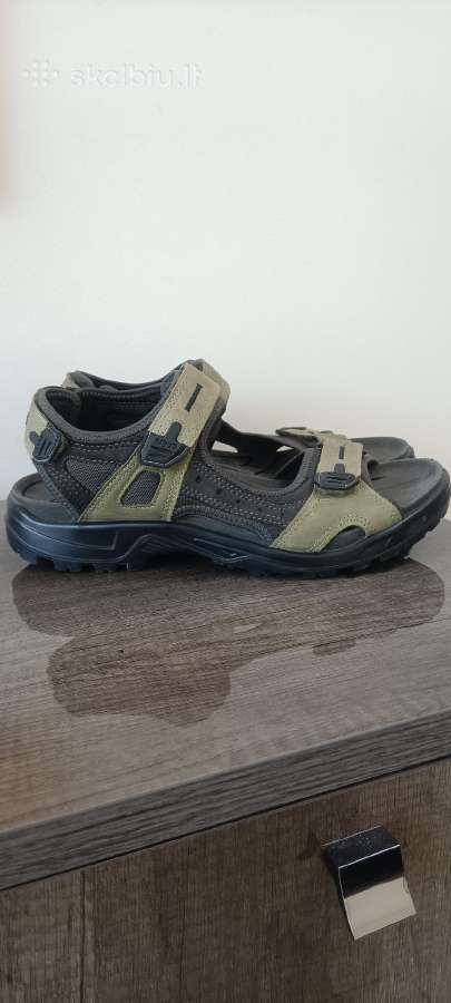 Ecco Offroad
