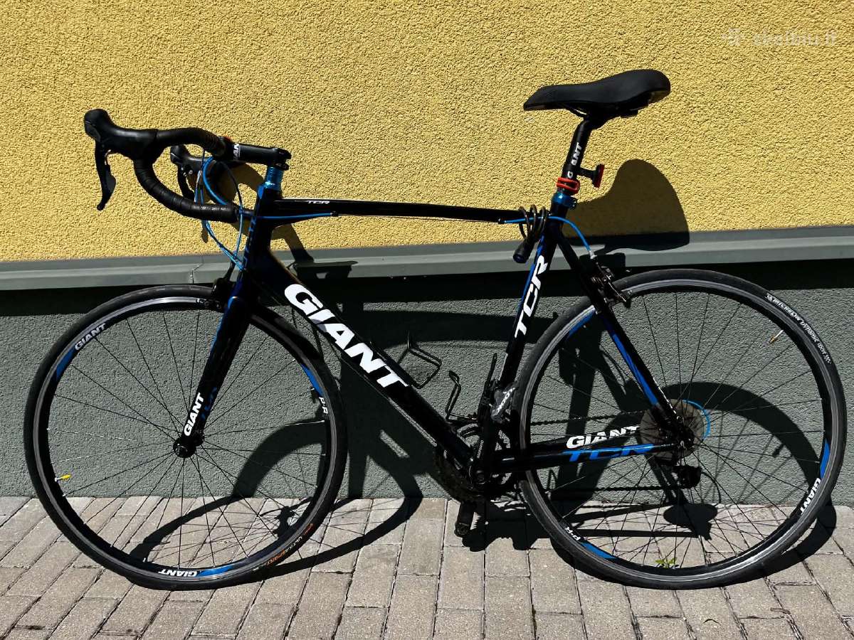 Giant Tcr karboninis
