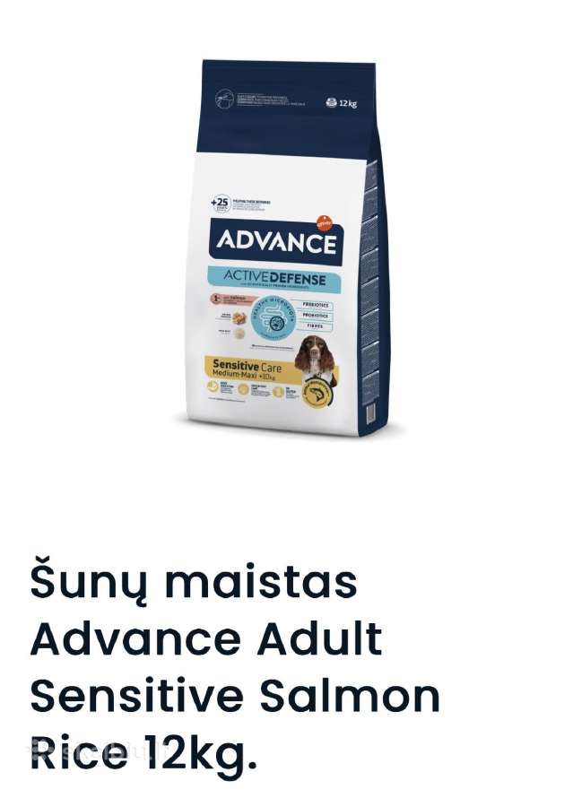 Šuns maistas