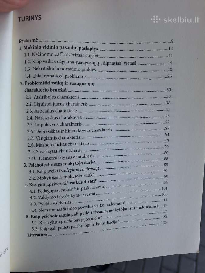 Įdomioji psichoterapija mokytojams ir tėvams - nuotraukos Nr. 3