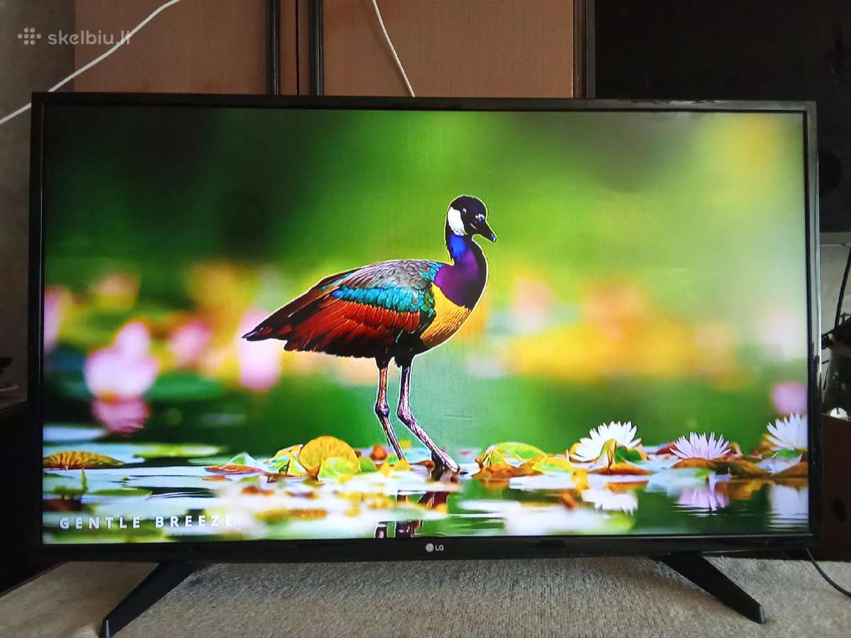 LG 43lh570v Smart TV 109cm - nuotraukos Nr. 26