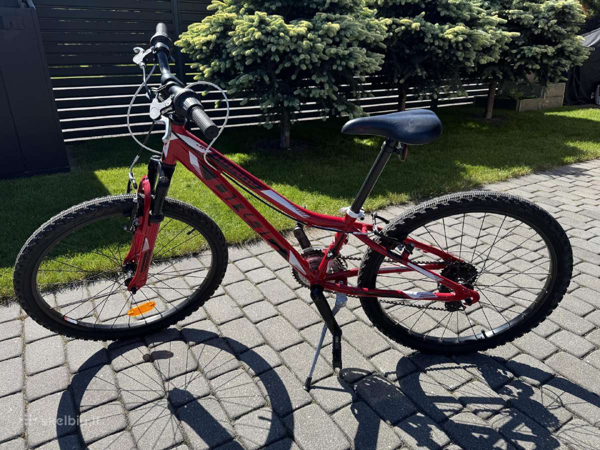 Dviratis Drag Hardy Jr - nuotraukos Nr. 2