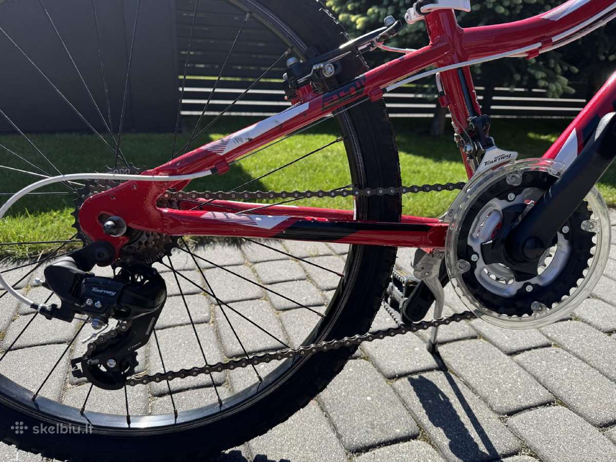 Dviratis Drag Hardy Jr - nuotraukos Nr. 3