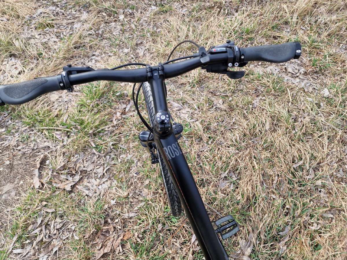 Rose - nuotraukos Nr. 12