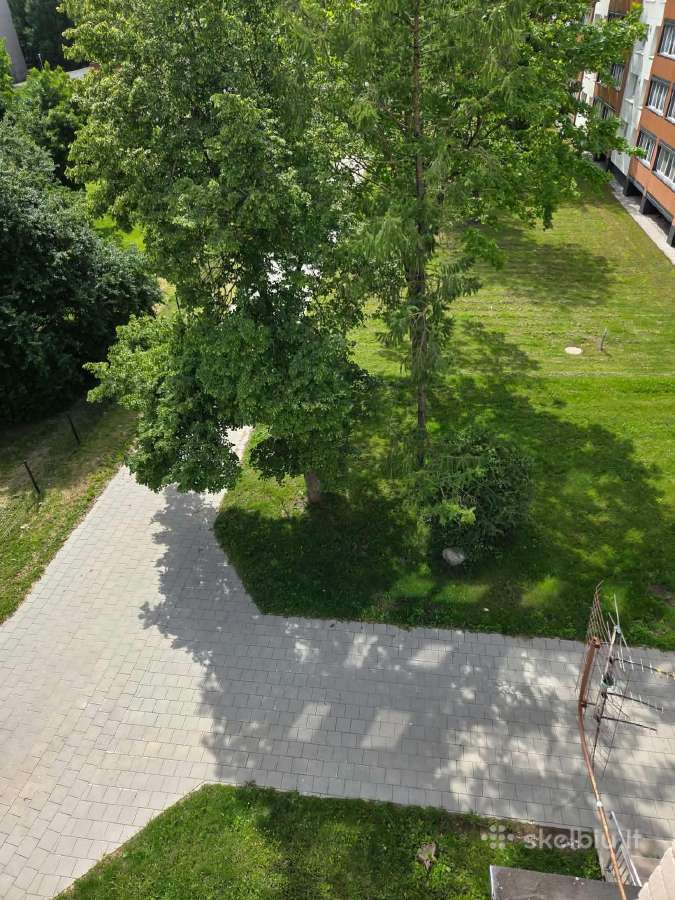 Parduodamas Bendrabučio Kambarys Klaipėdoje - nuotraukos Nr. 11