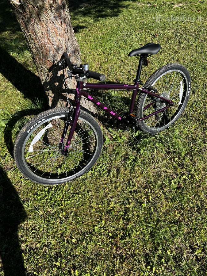 Vitus 24 vaikiskas dvirtas. Nuo 7m