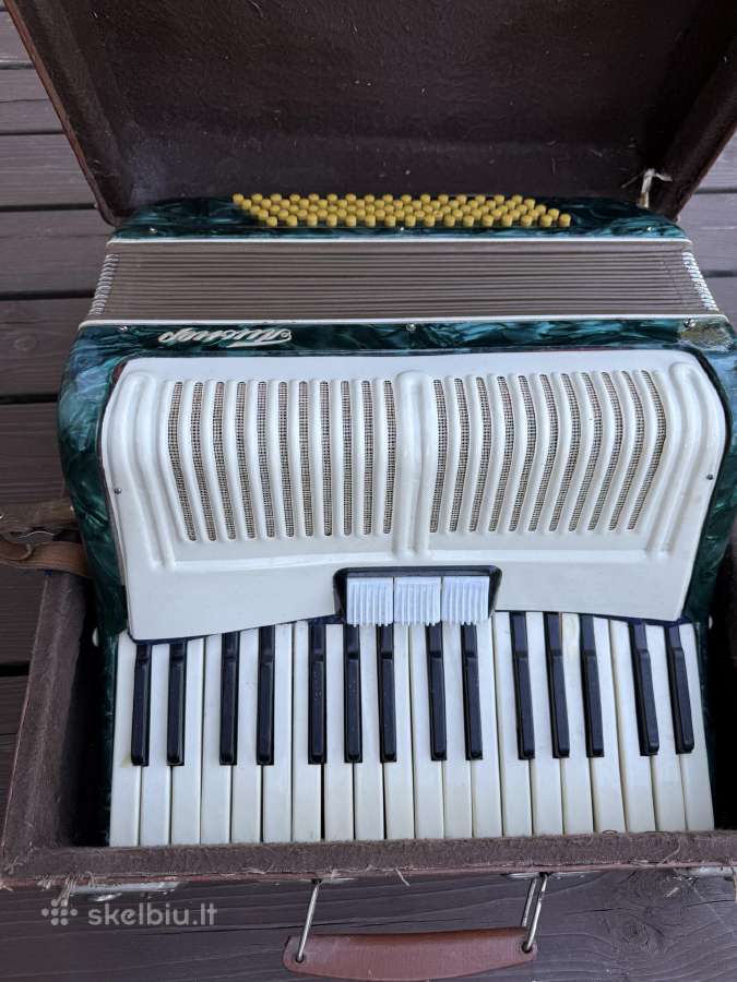 Pioner akardeonas - nuotraukos Nr. 4