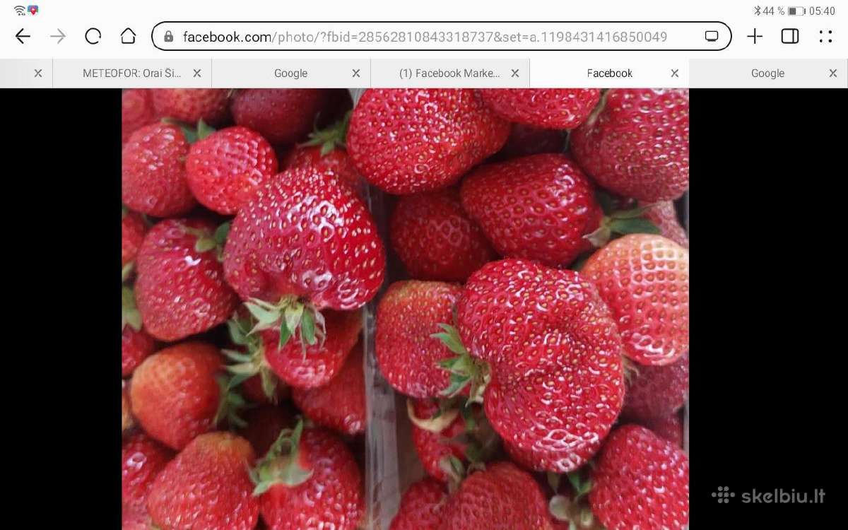 Pirkčiau braskes didesniais kiekiais