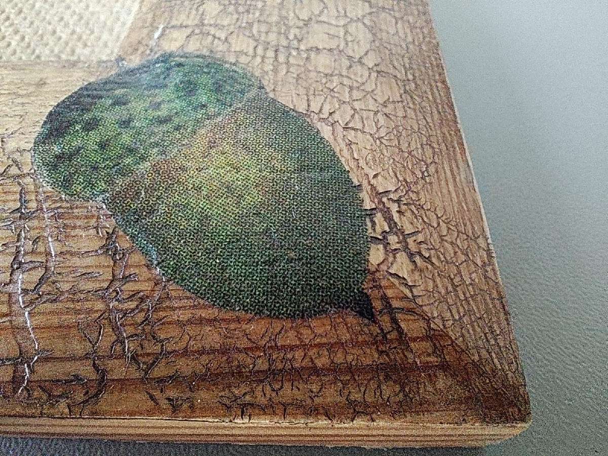 Nuotraukos rėmelis 10x15cm - nuotraukos Nr. 4