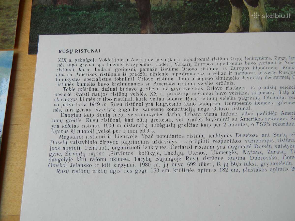 Atviruku komplektas - nuotraukos Nr. 4