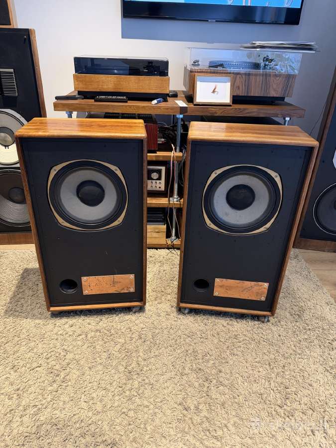 Kolonėlės Tannoy 3169g