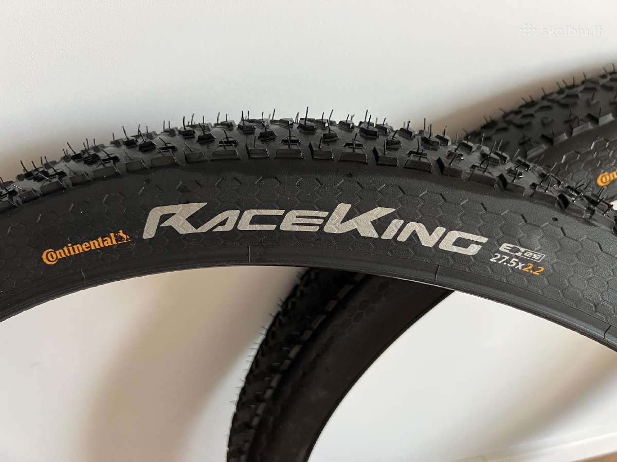 Continental race king - nuotraukos Nr. 2
