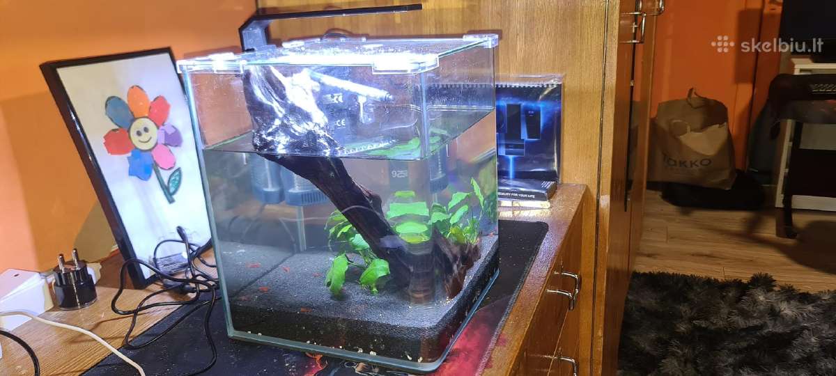 20l akvariumas nano cube