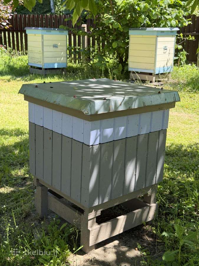 Parduodu avilius su šeimomis, kaina nuo 50 iki 180