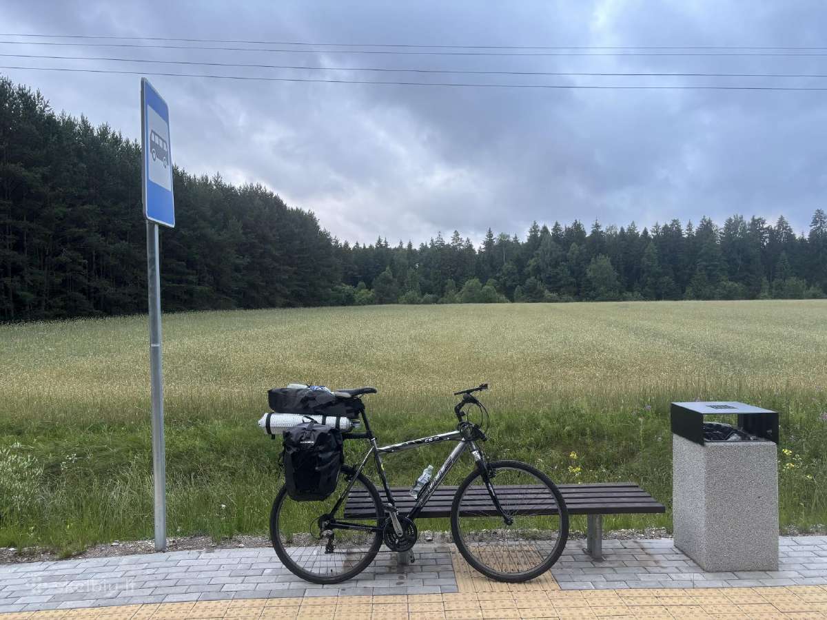 Pro Discover Seatpost Bag 15 L