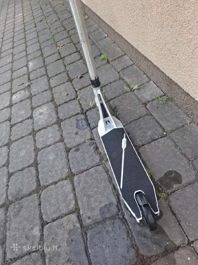 Biški nubraižytas - nuotraukos Nr. 3