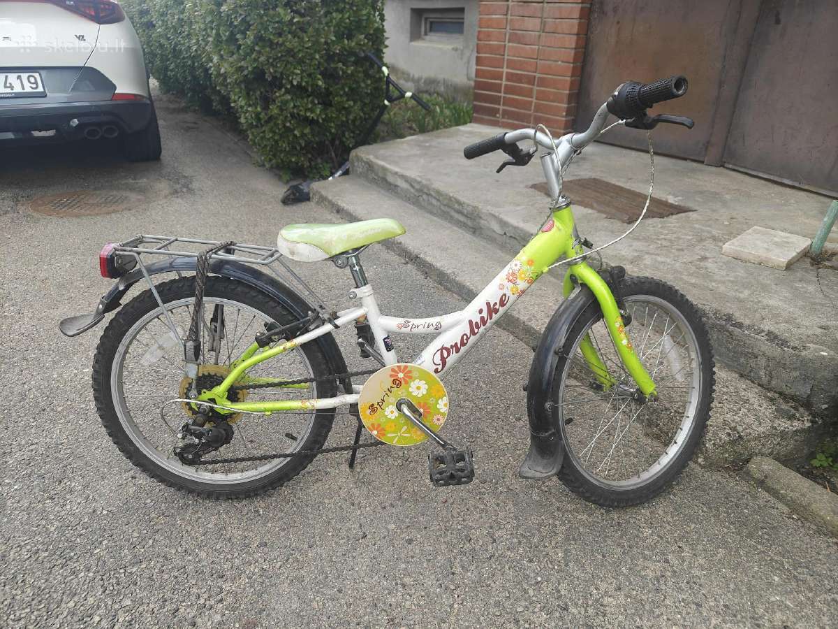 Dviratis. 20 "