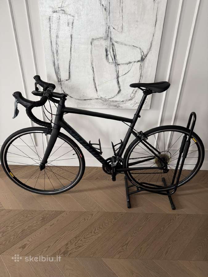 Specialized Allez
