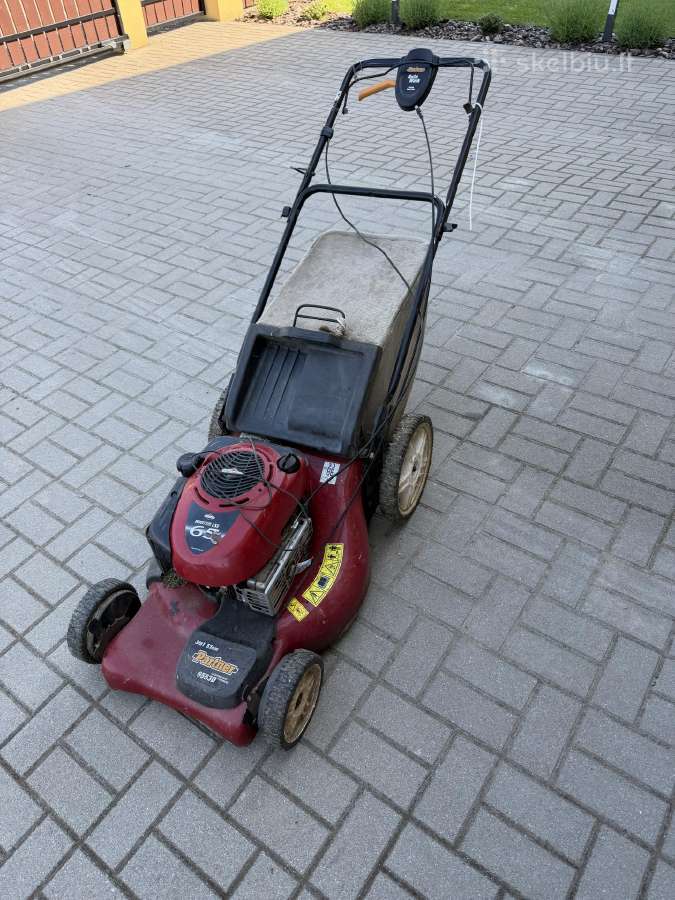 Žolepjovė
