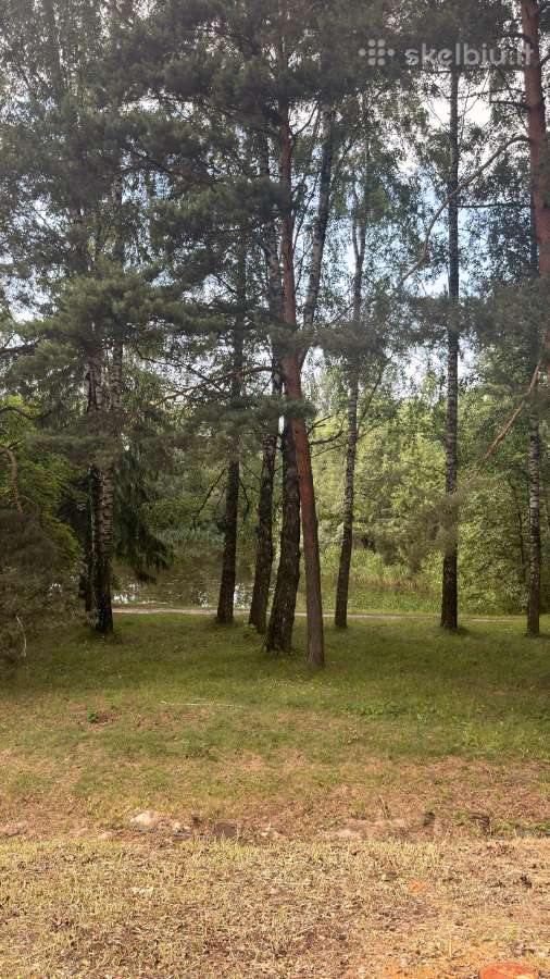 Prie Kauno mariu, sklypas ir namas su tvenkiniu - nuotraukos Nr. 10