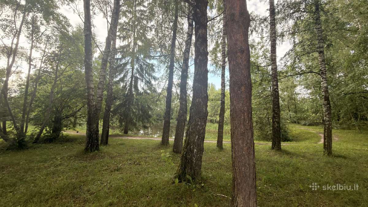 Prie Kauno mariu, sklypas ir namas su tvenkiniu - nuotraukos Nr. 12