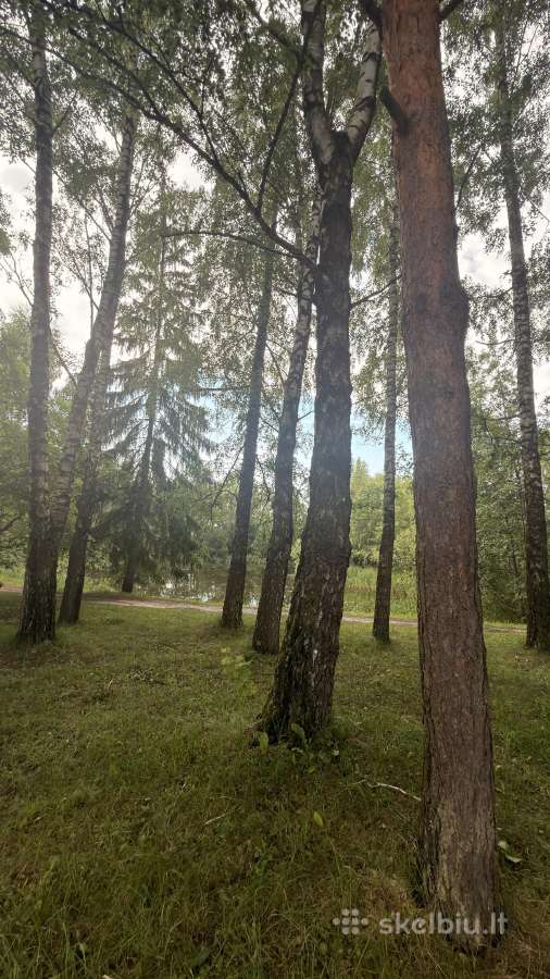 Prie Kauno mariu, sklypas ir namas su tvenkiniu - nuotraukos Nr. 13