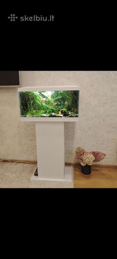 Akvariumas su spintele