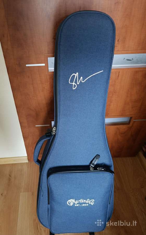 Martin, elektro akustinė gitara. - nuotraukos Nr. 7