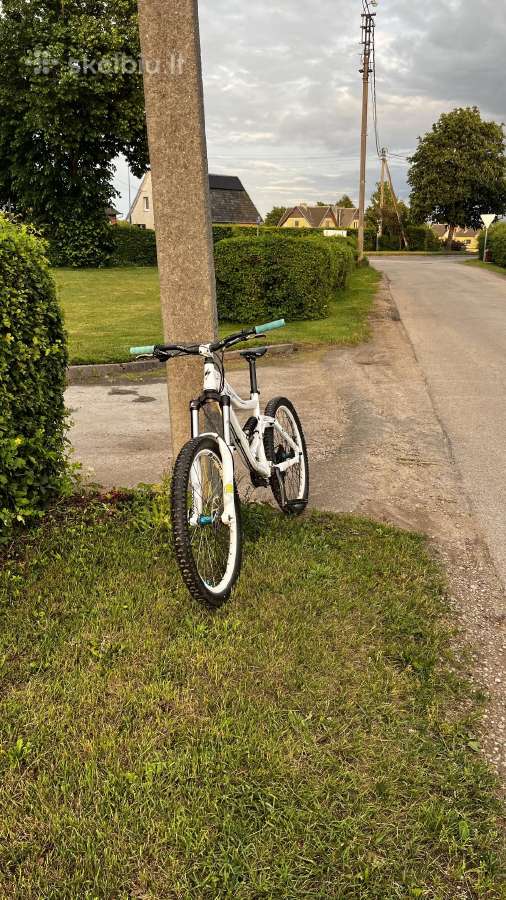 Specialized Big Hit III fsr