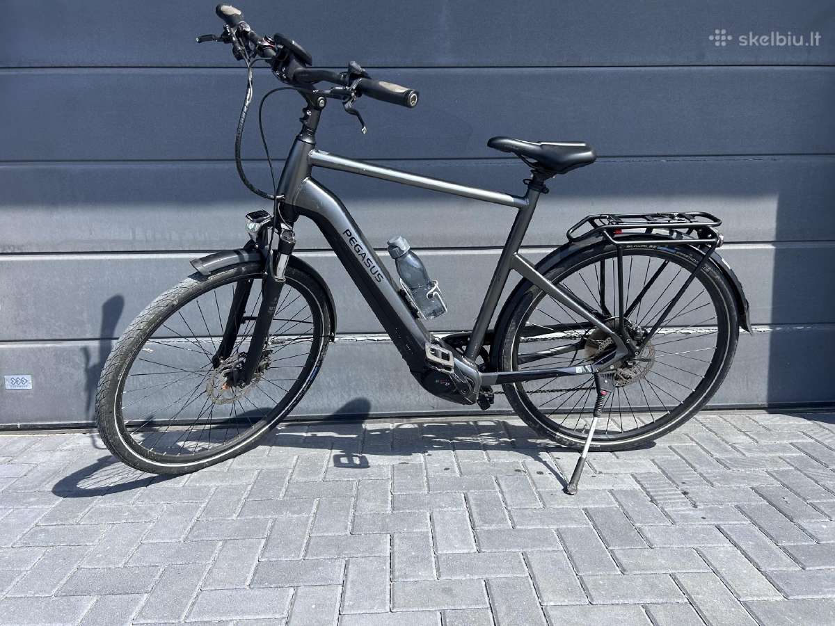 Pegasus Premio EVO 10 lite