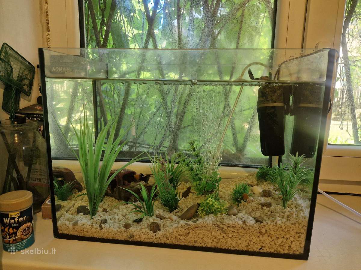 Akvariumas