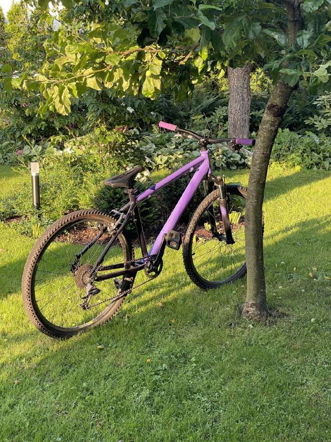 Hardtail dviratis