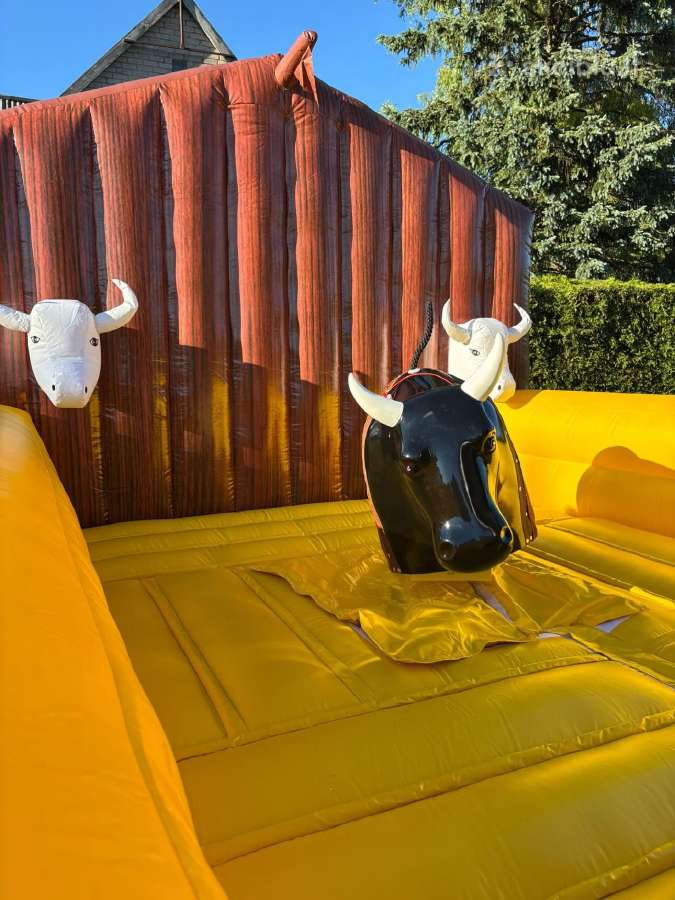 Rodeo Buliaus nuoma Klaipėdoje - nuotraukos Nr. 2