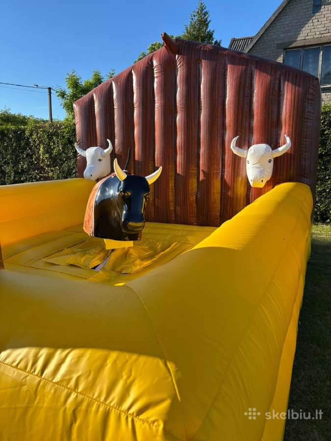 Rodeo Buliaus nuoma Klaipėdoje - nuotraukos Nr. 4
