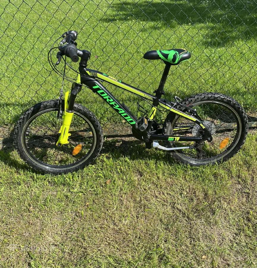 Torpado Tigre T625 20 kalnų dviratis