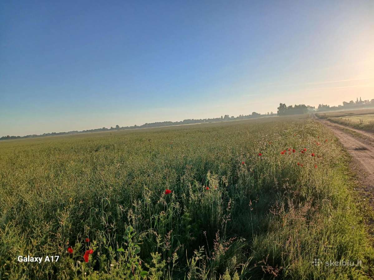 2,96ha dirbama žemė, našumas 62, Kėdainių r.,