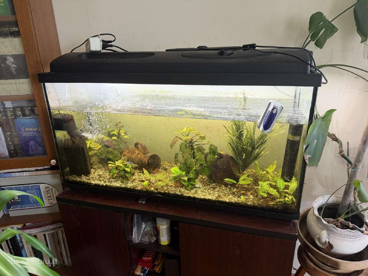Akvariumas 220l su spintele
