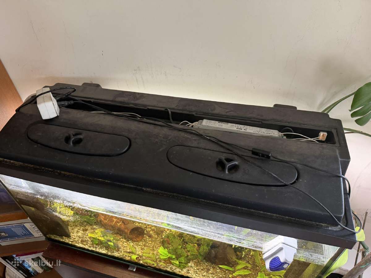 Akvariumas 220l su spintele - nuotraukos Nr. 2